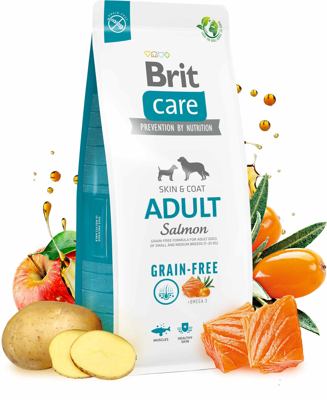 BRIT CARE Grain-free Adult, cu Somon si Cartofi