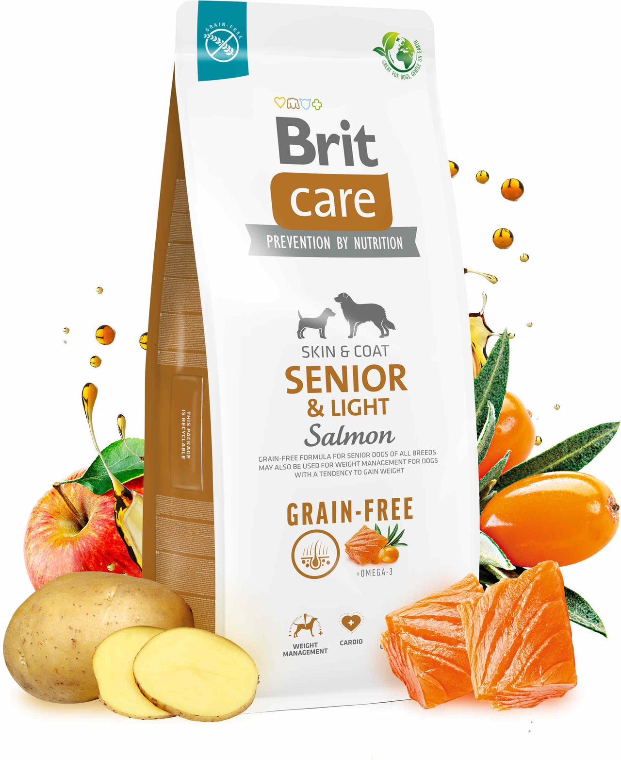 BRIT CARE Grain-free SENIOR & Light, cu Somon si Cartofi