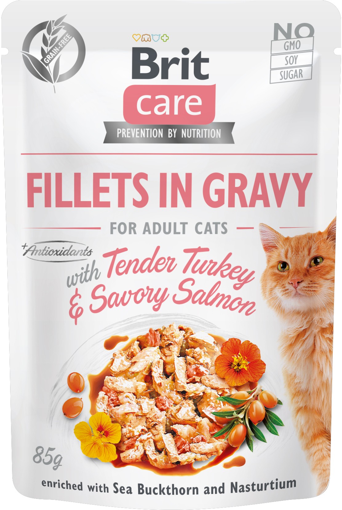 BRIT CARE Plic pentru pisici, File de curcan si somon in sos 85g