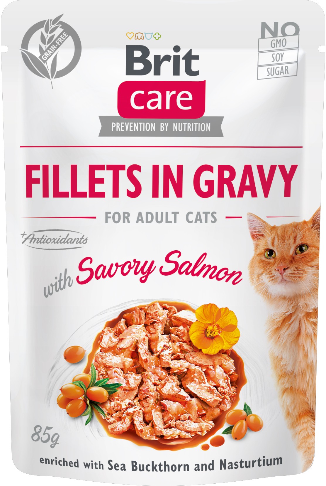 BRIT CARE Plic pentru pisici, File de somon in sos 85g