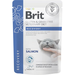 BRIT VD Recovery, Plic pentru pisici, recuperare, refacere nutritiva 85g