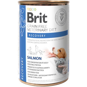 BRIT VD Recovery Conserva pentru caini si pisici 400g