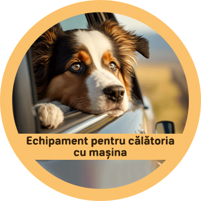 Câini / Echipament pentru călătoria cu maşina