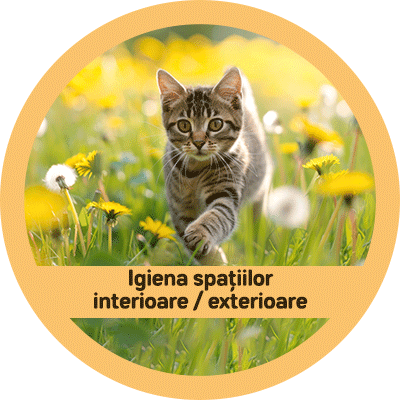Pisici / Igiena spaţiilor interioare/exterioare