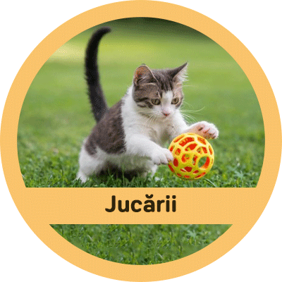 Pisici / Jucării pentru pisici