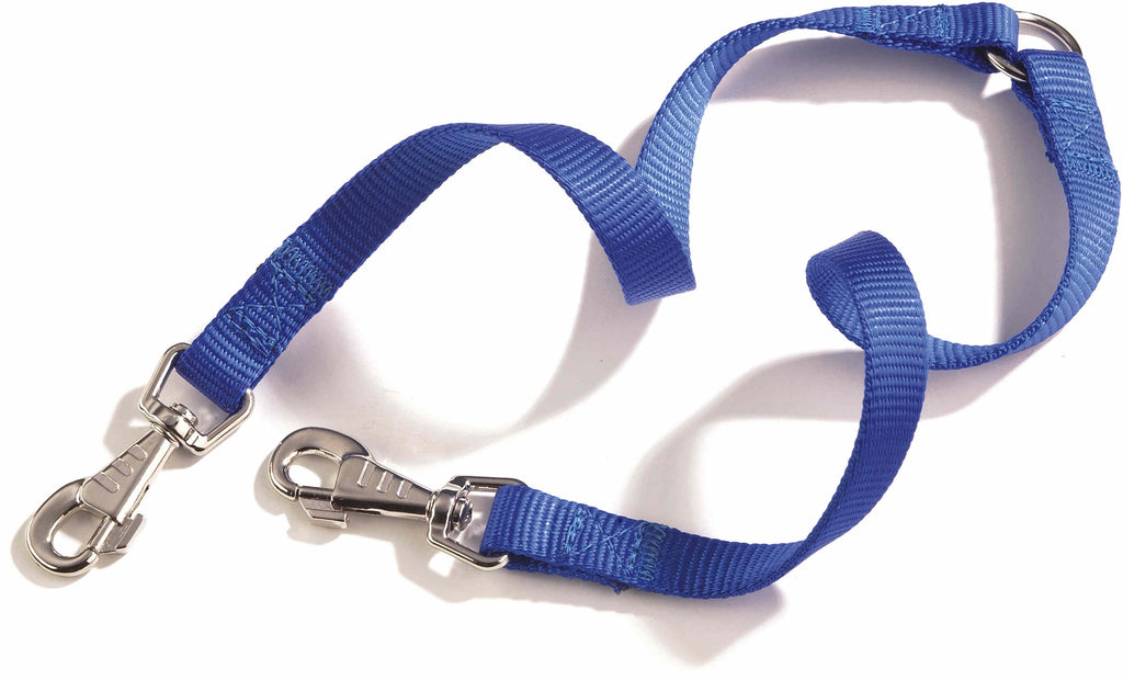 CAMON Lesa dubla pentru caini, din nailon, 15x350mm, Albastru