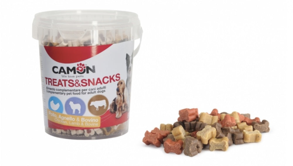 CAMON Recompense pentru caini Snackbox Mini Bones 500g