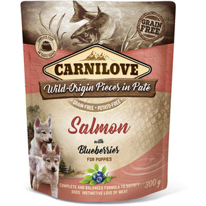 CARNILOVE Plic pentru PUPPY, Pate cu Somon si afine 300g