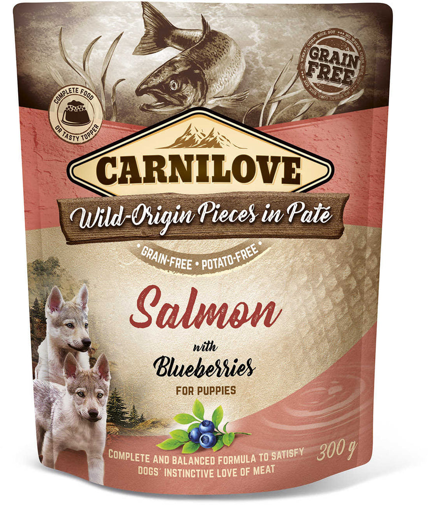 CARNILOVE Plic pentru PUPPY, Pate cu Somon si afine 300g