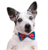Catalog Maxi Pet