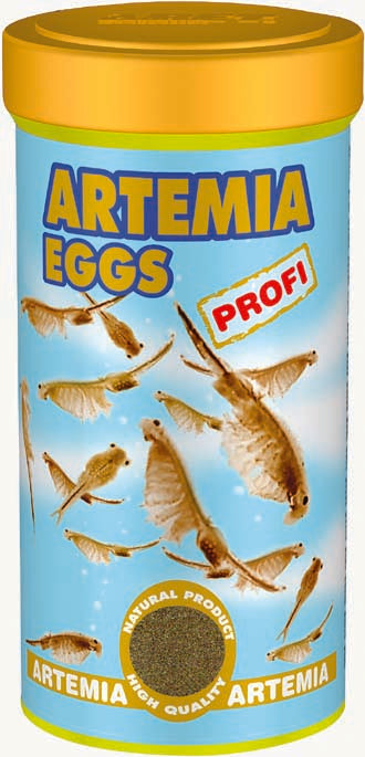 DAJANA Artemia Profi Hrana pentru puiet, Oua de Artemia Salina 40g (100 ml)