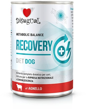 DISUGUAL Recovery conserva pentru caini, cu carne de miel 400g