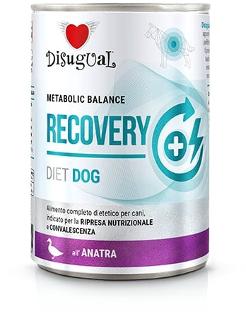 DISUGUAL Recovery conserva pentru caini, cu carne de rata 400g