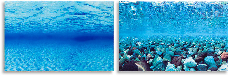 FERPLAST Decor foto pentru acvariu, cu 2 feţe, Albastru - Maxi-Pet.ro