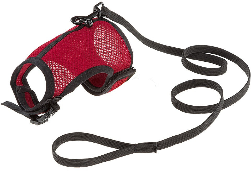 FERPLAST Ham pt animale mici JOGGING, gat 20-24cm, piept 26-34cm, 1cm, div cul