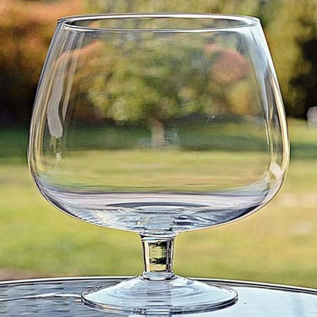 FINEZJA Bol din sticla cu picior pentru peste, inaltime 29,5cm, 10L