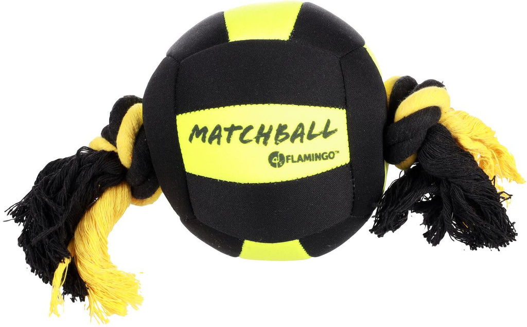 FLAMINGO Jucarie pentru caini Minge Aqua Actionball plutitoare, cu manere
