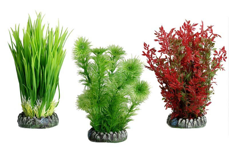 FLAMINGO Plantă din plastic pentru acvariu Sri Lanka, diferite modele, 7,8cm - Maxi-Pet.ro