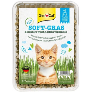 GIMCAT Iarba pentru pisici 100g
