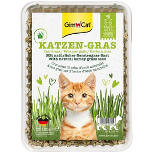 GIMCAT Iarba pentru pisici 150g