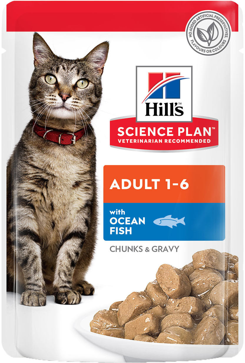 HILL's Plic hrana umeda pentru pisici Adulte, cu Peste Oceanic 85g