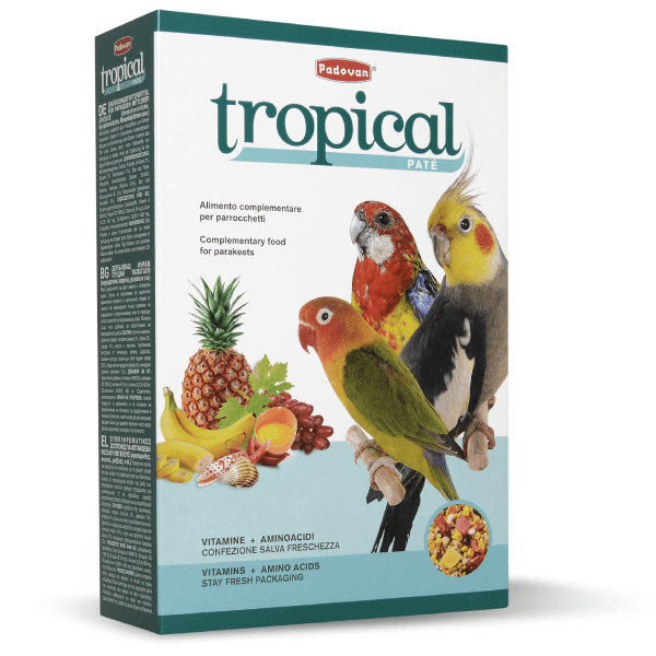 Hrana pentru papagali Tropical Patee 700g - Animax