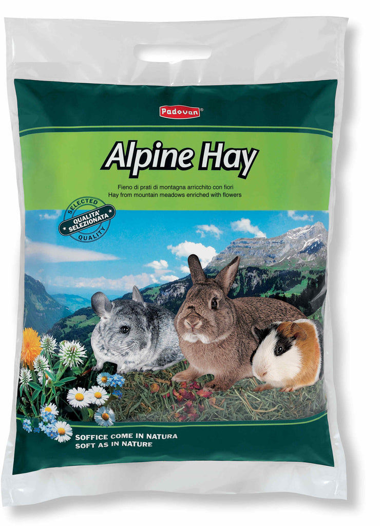 PADOVAN Alpine Hay, Fân pentru rozătoare 700g - Maxi-Pet.ro