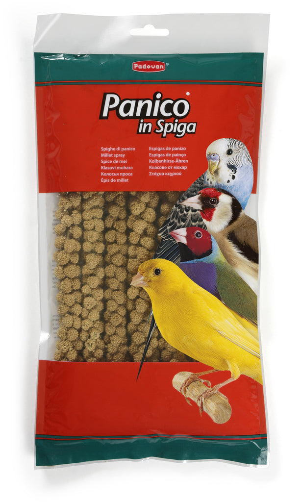 PADOVAN Crengute de Mei pentru pasari granivore 250g