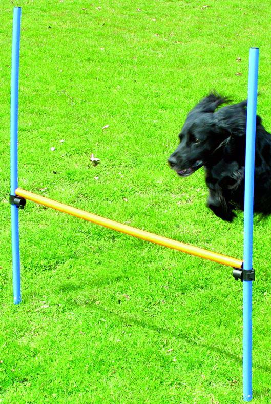 PAWISE Agility Obstacol de agilitate pentru caini, din plastic