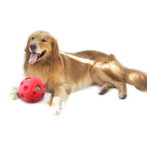 PAWISE Jucarie pentru caini Minge Shake Me Giggle Ball, diametru 15 cm