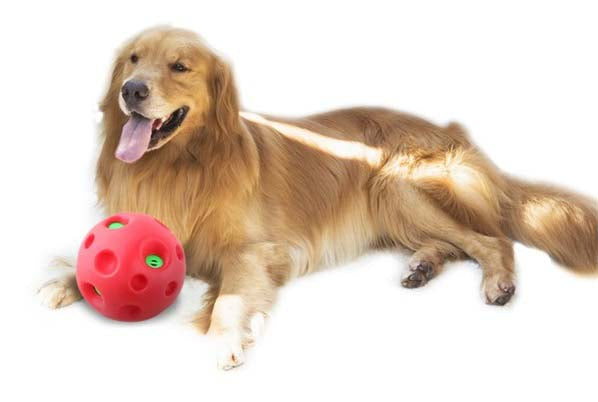 PAWISE Jucarie pentru caini Minge Shake Me Giggle Ball, diametru 15 cm