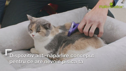 FURminator Perie pentru pisici cu păr scurt