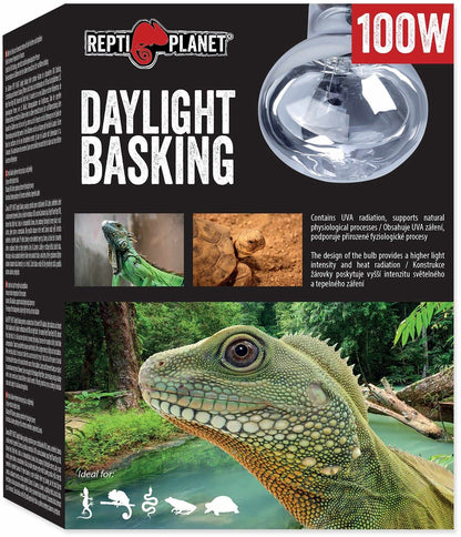 REPTI PLANET Bec pentru terariu Daylight Basking, 100W