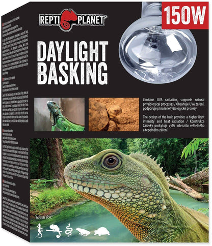 REPTI PLANET Bec pentru terariu Daylight Basking, 150W