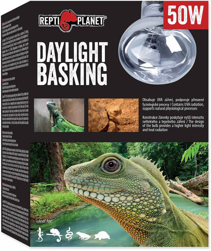 REPTI PLANET Bec pentru terariu Daylight Basking, 50W
