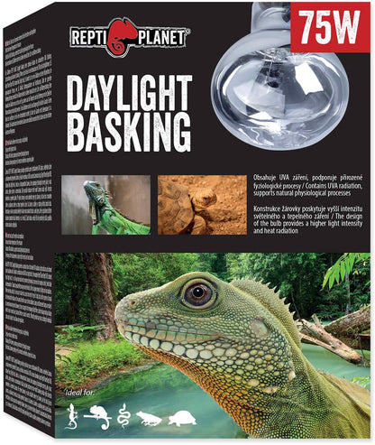 REPTI PLANET Bec pentru terariu Daylight Basking, 75W