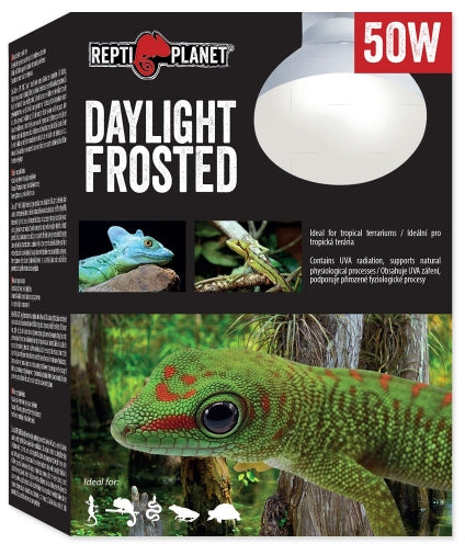 REPTI PLANET Bec pentru terariu Daylight Frosted, 50W