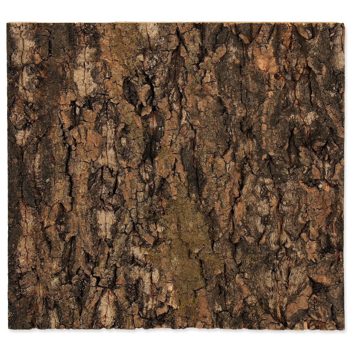 REPTI PLANET Fundal pentru terariu, din pluta naturala, 29x27,3x2cm