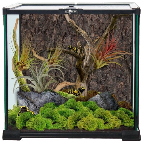 REPTI PLANET Mini-Terariu din sticla, 30x30x30cm