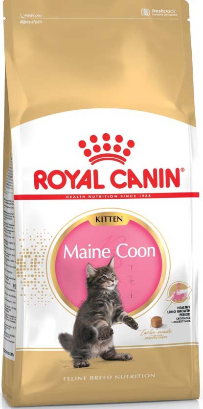 ROYAL CANIN FBN KITTEN Maine coon 2kg