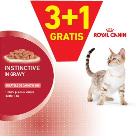 ROYAL CANIN FHN Kit plicuri hrana pisici Instinctive in Gravy, 85g 3+1 GRATIS