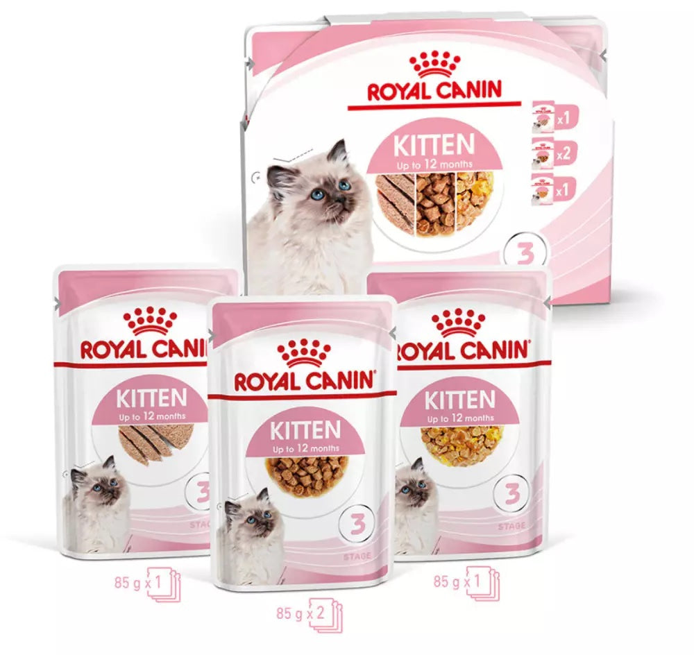 ROYAL CANIN FHN KITTEN mix Plic hrană umedă pentru pisicuţe 85g 3+1 GRATIS - Maxi-Pet.ro