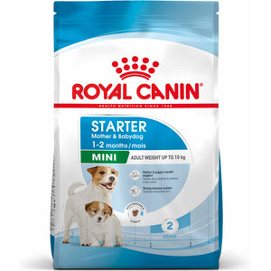 ROYAL CANIN SHN Mini Starter Mother & Babydog pt. femele gestante si catei 