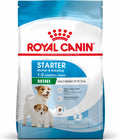 ROYAL CANIN SHN Mini Starter Mother & Babydog pt. femele gestante şi căţei