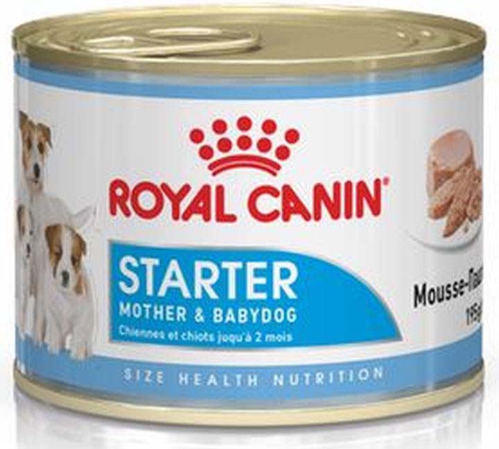 ROYAL CANIN Starter Mousse 195g - Maxi-Pet.ro
