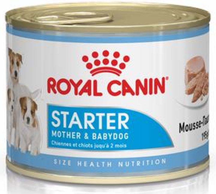 ROYAL CANIN Starter Mousse 195g