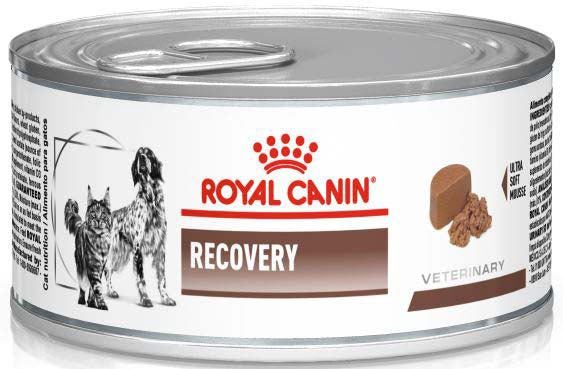 ROYAL CANIN VHN Recovery Conserva pentru caini si pisici 195g