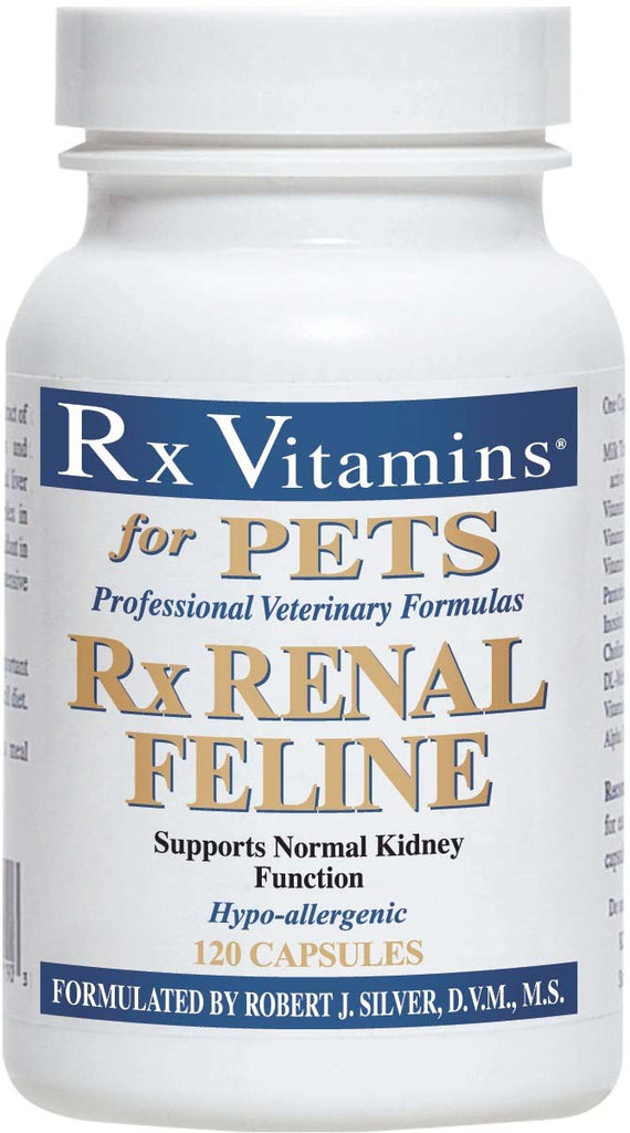 RX VITAMINS Rx Renal Feline Supliment nutritional, 120 comprimate
