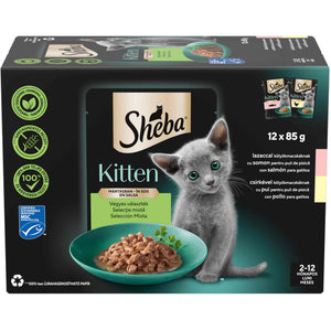 SHEBA KITTEN Plic hrana umeda pentru pisicute, cu Somon si Pui in sos 12x85g