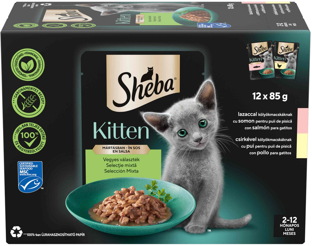 SHEBA KITTEN Plic hrana umeda pentru pisicute, cu Somon si Pui in sos 12x85g